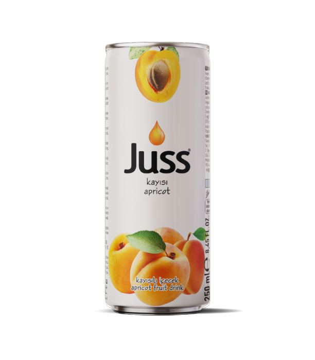 KAYISI MEYVE NEKTARI 250 ML