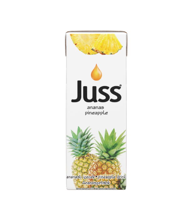 ANANAS MEYVELİ İÇECEK 200 ML
