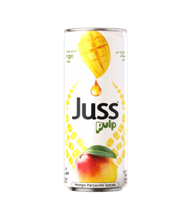 MANGO PARÇACIKLI İÇECEK 250 ML