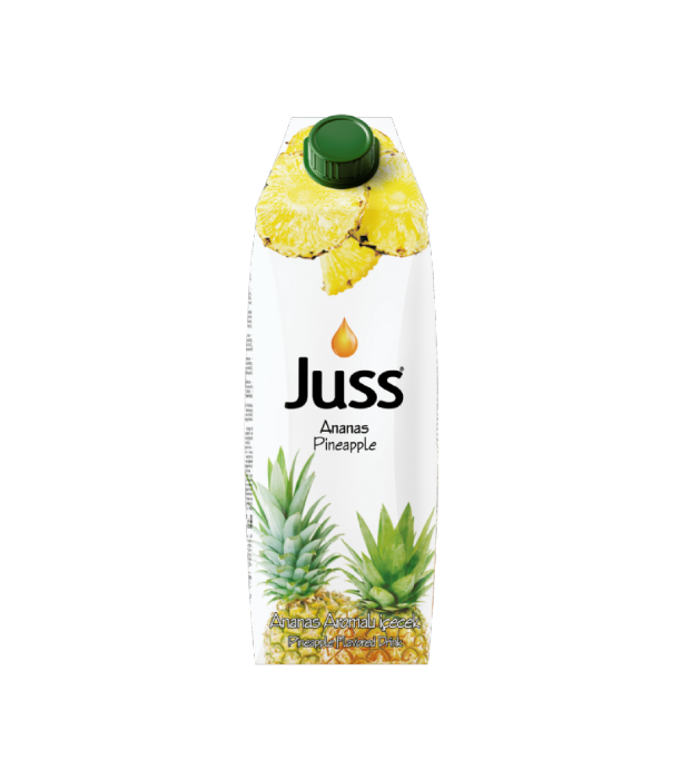ANANAS MEYVE SUYU 1 LT TETRAPAK