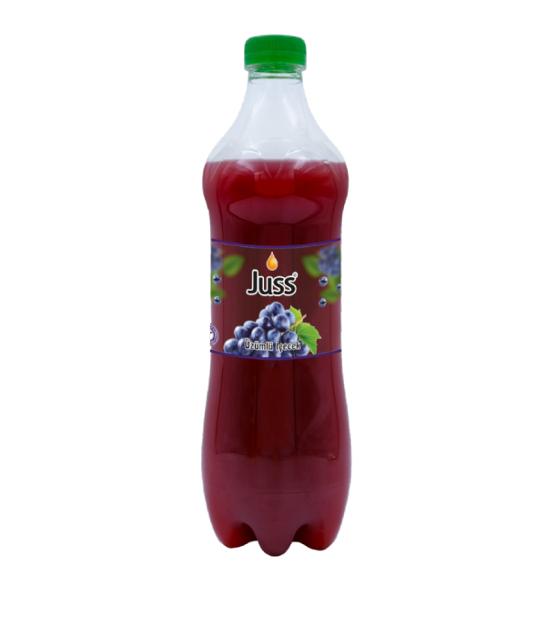 ÜZÜMLÜ İÇECEK 1 LT PET
